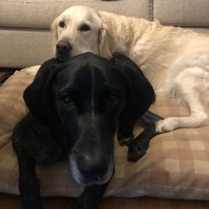 Meet your Posher, Ali